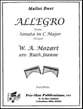 Allegro, K. 545 Keyboard Percussion Duet cover